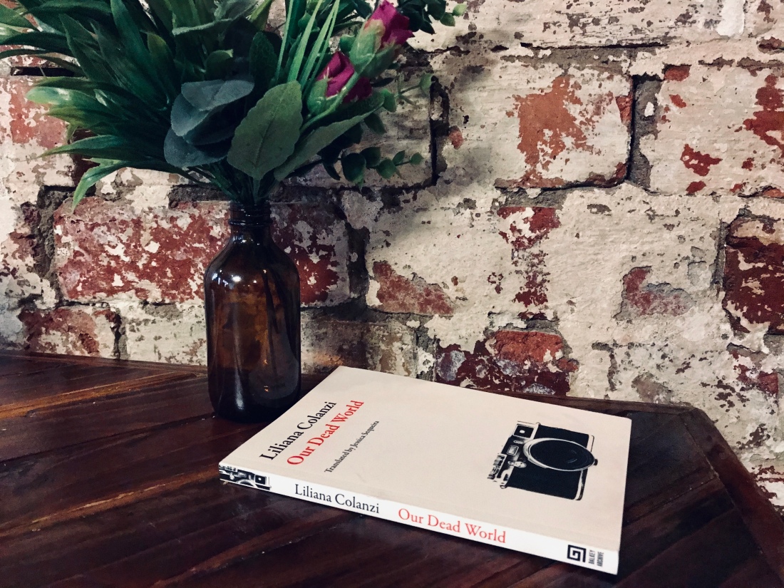 Our Dead World book with picture of camera on front cover, flowers and brick wall in background