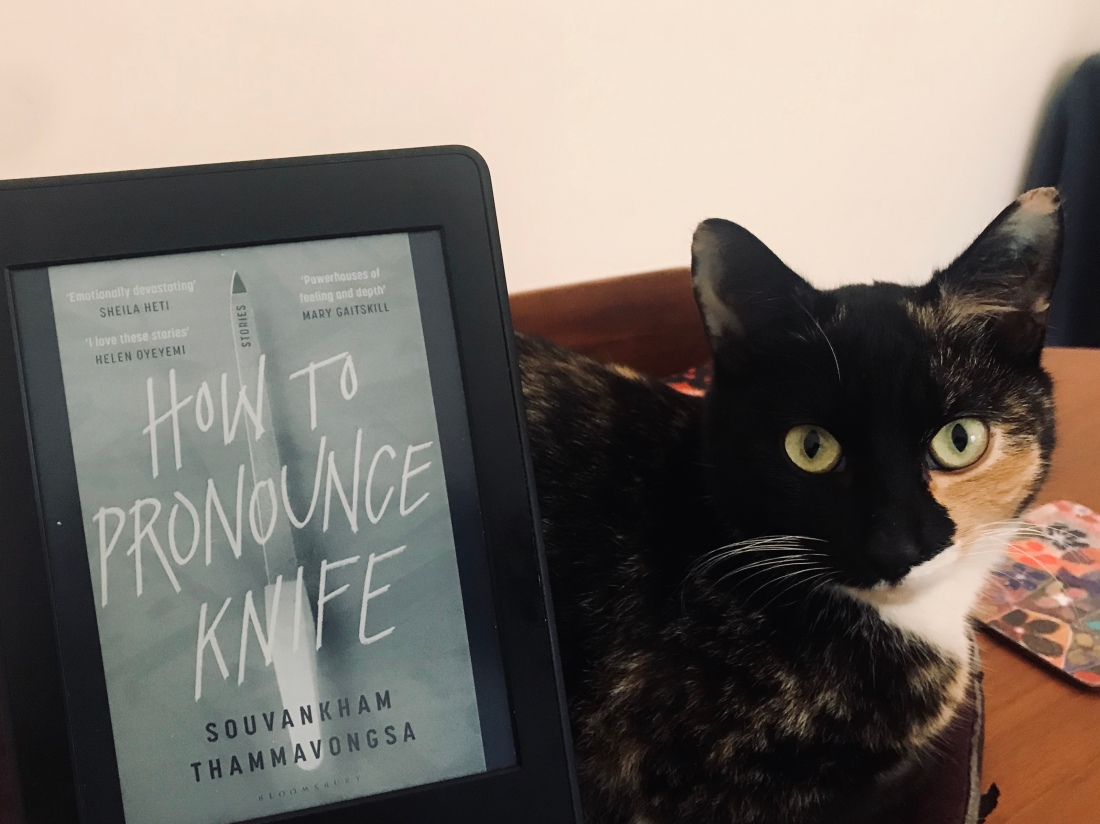 kindle edition of book with cat next to it