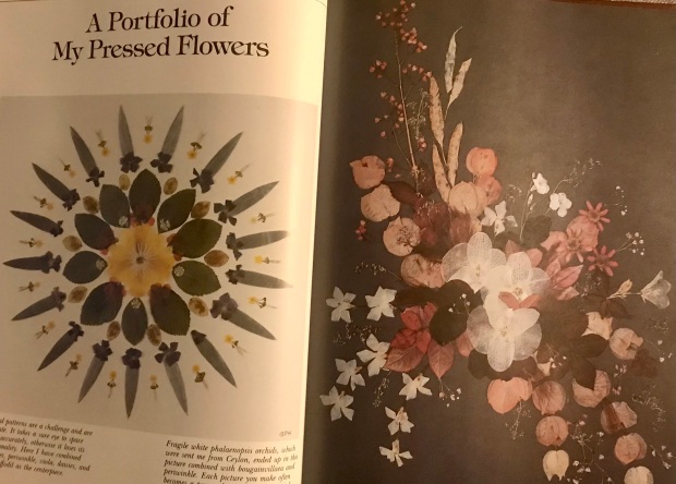 pressed flowers